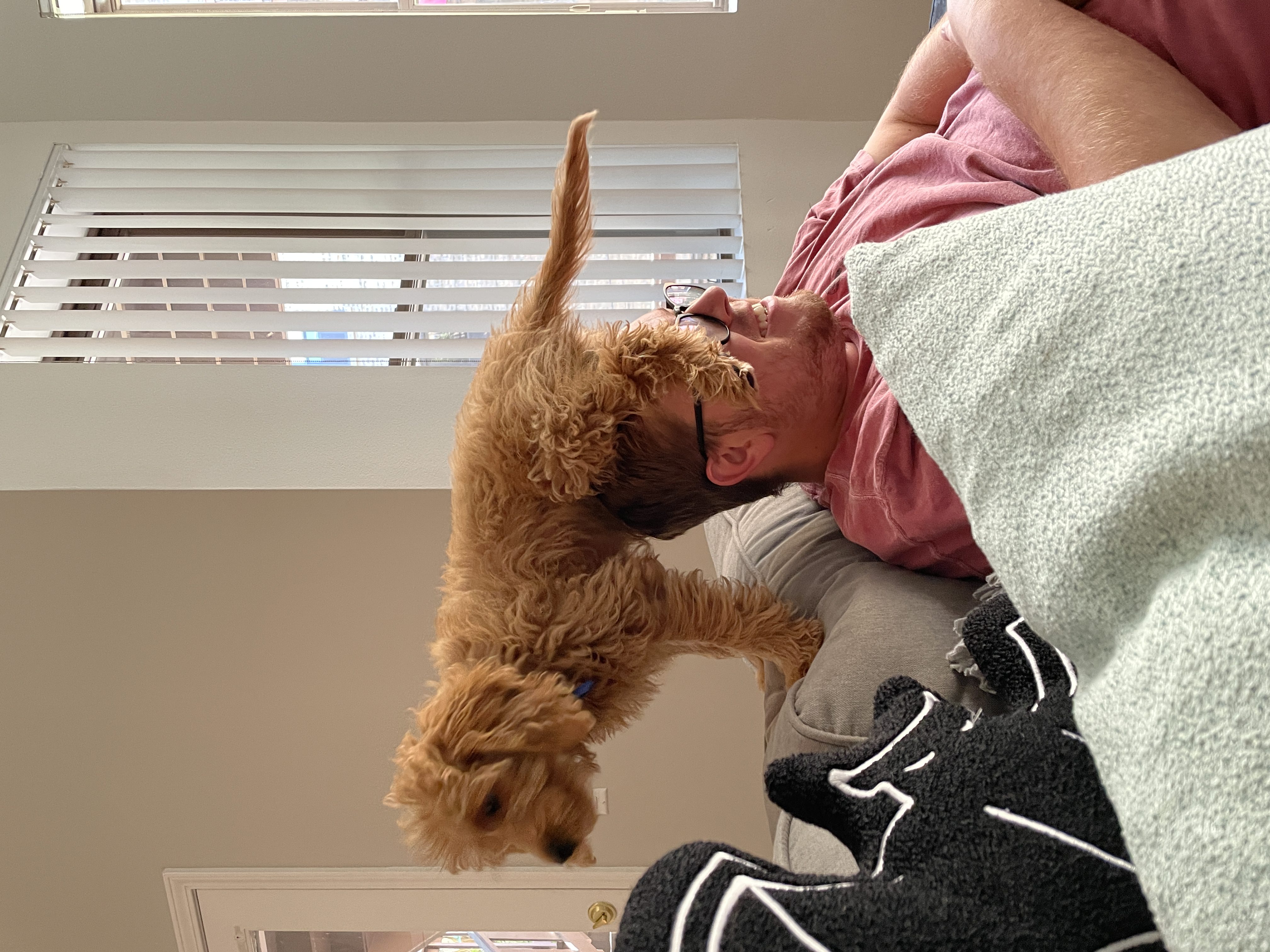 milo sitting on mac's head