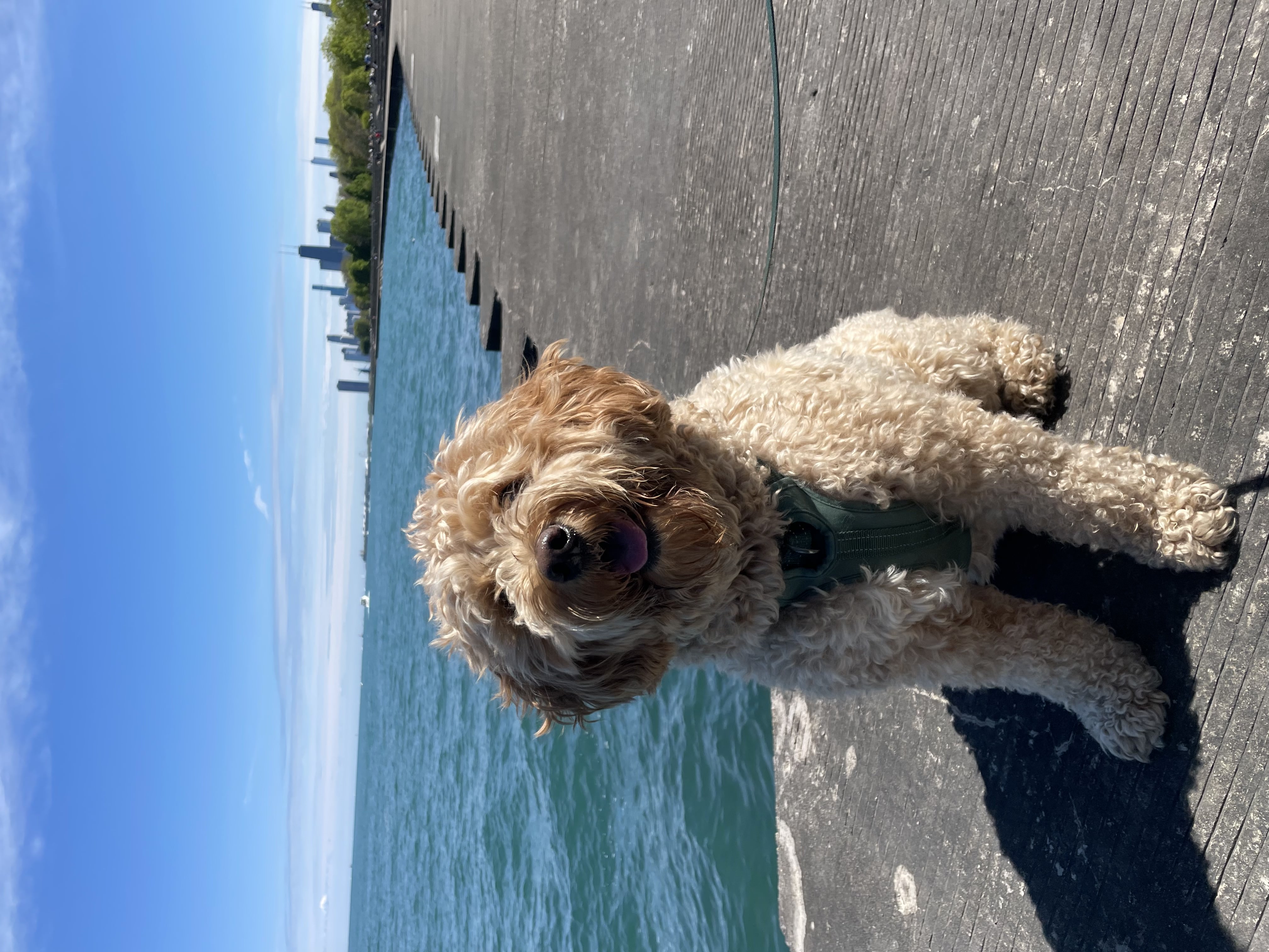 milo smiling at the lake